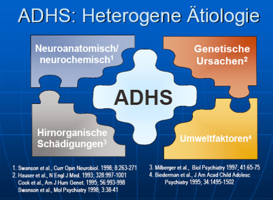 ADHS: Heterogene Ätiologie ADHS: Heterogene Ätiologie