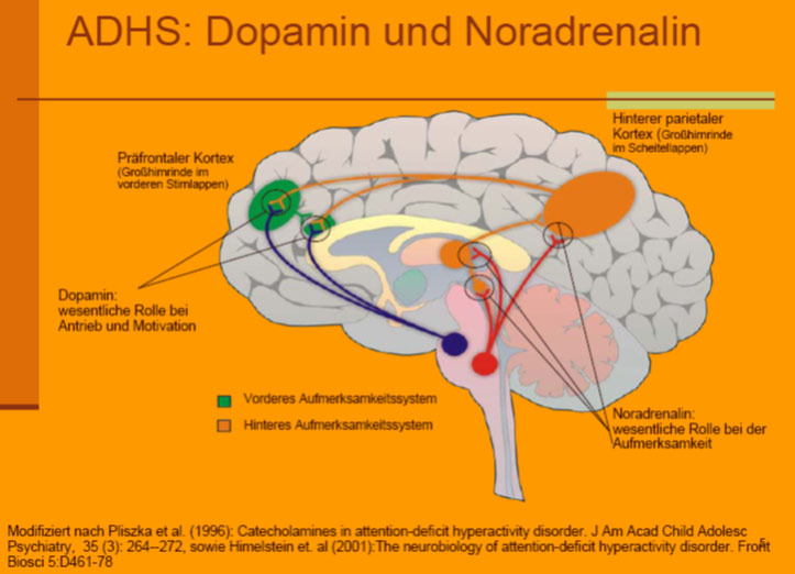 Nabel Schmerzen Bei Erwachsenen