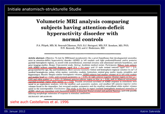 Initiale anatomisch-strukturelle Studie Initiale anatomisch-strukturelle Studie