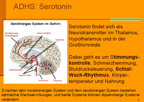 ADHS: Serotonin